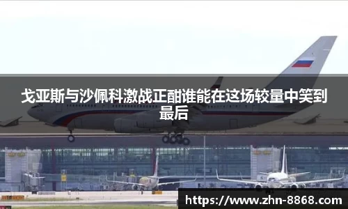 戈亚斯与沙佩科激战正酣谁能在这场较量中笑到最后